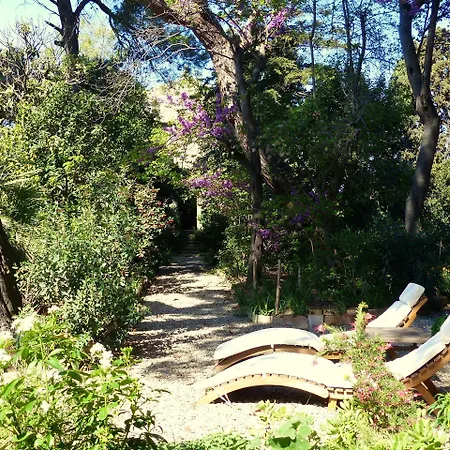 Chateau De 3* Puicheric